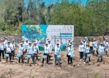 SKK Migas-KKKS Jabanusa Tanam Ribuan Mangrove di Kulonprogo