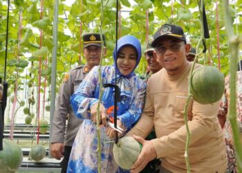 Manfaatkan Lahan Kosong, Wabup Sidoarjo Apresiasi Melon Hidroponik di Desa Gempol Klutuk