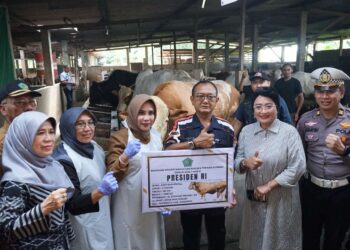 Sidoarjo Dapat Bantuan Sapi Seberat 1,08 Ton dari Presiden Prabowo