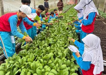 Wujudkan Generasi Peduli Lingkungan, SD Al Muslim Gelar Outing Class di Kaliandra